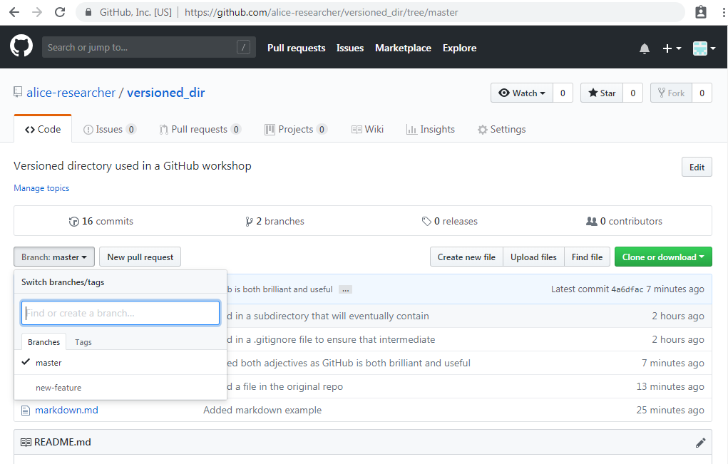 Image of GitHub branches