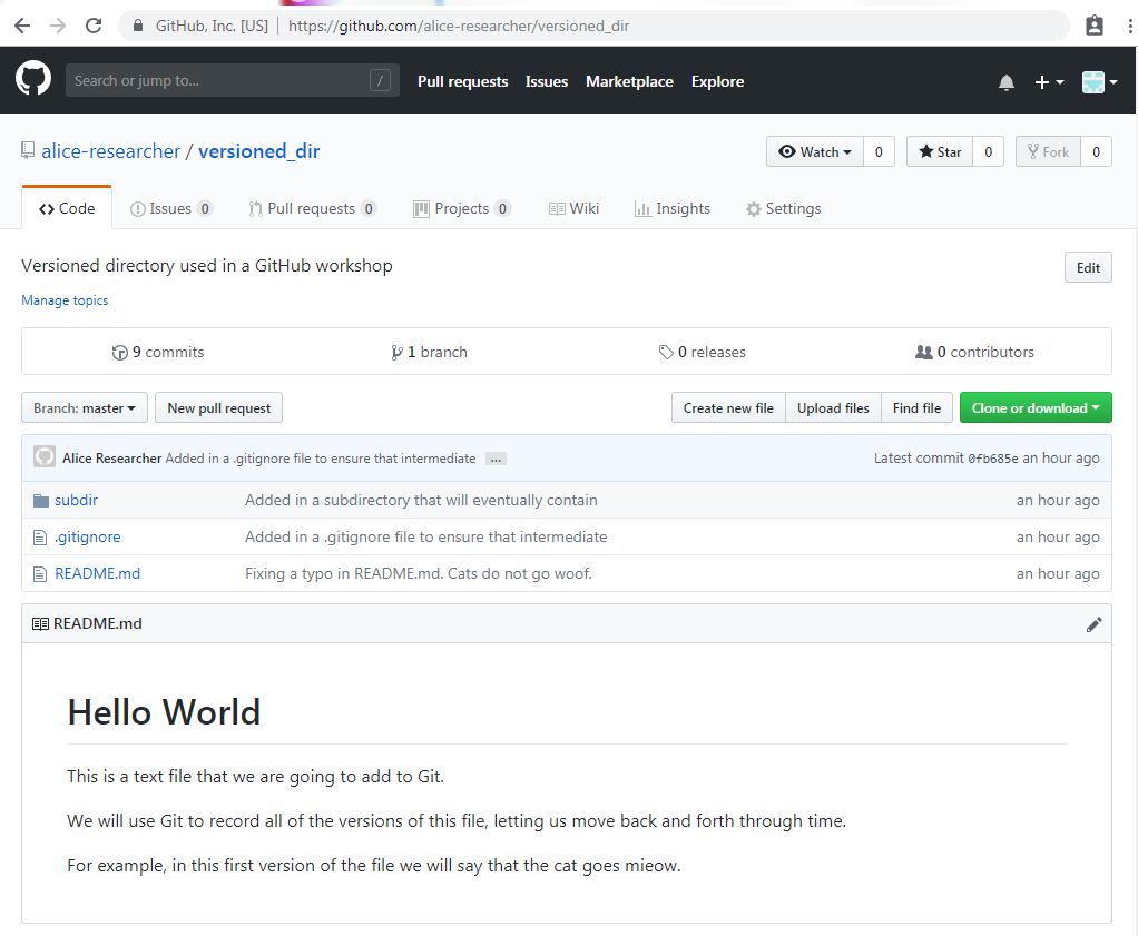 Image of the GitHub versioned_dir repository