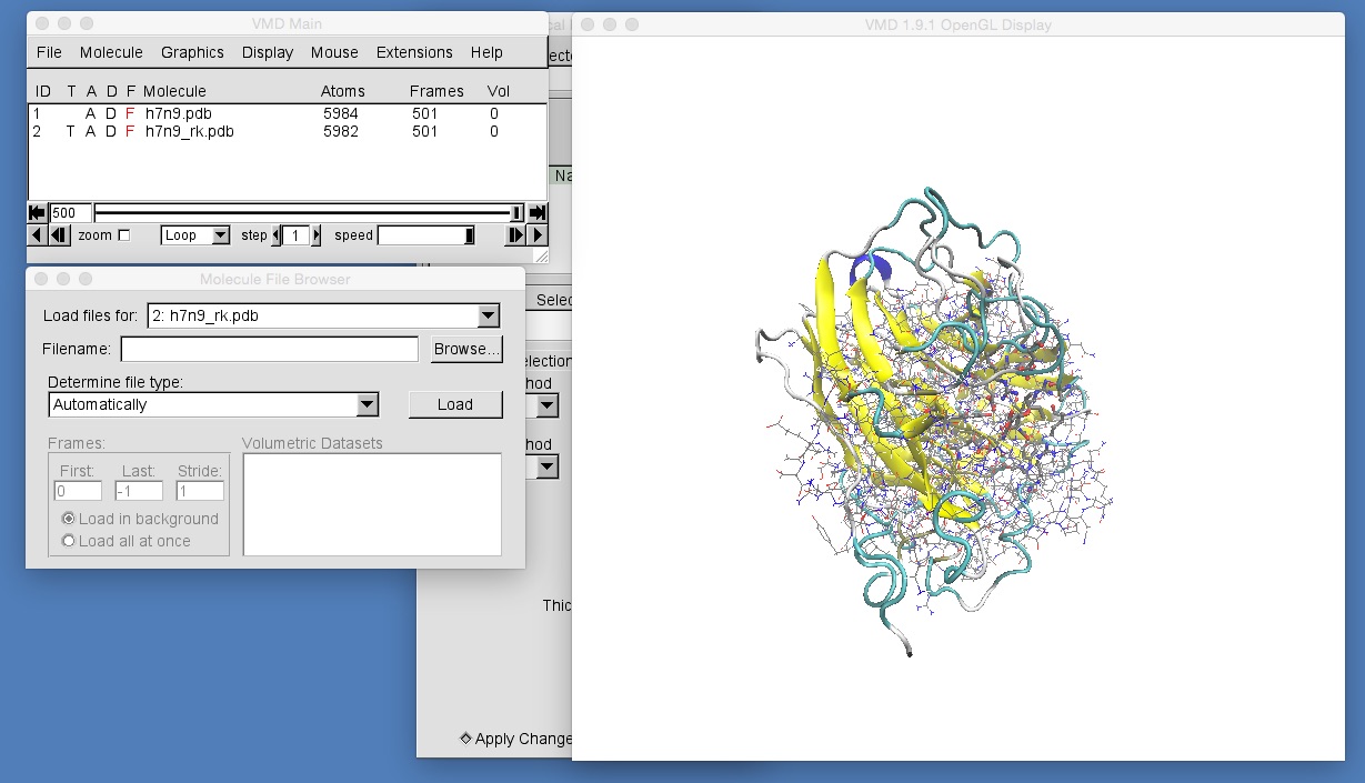 Image opening h7n9_rk.dcd